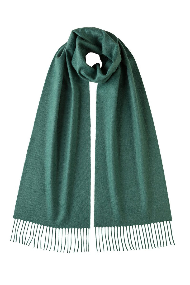 Cashmere Plain Scarf