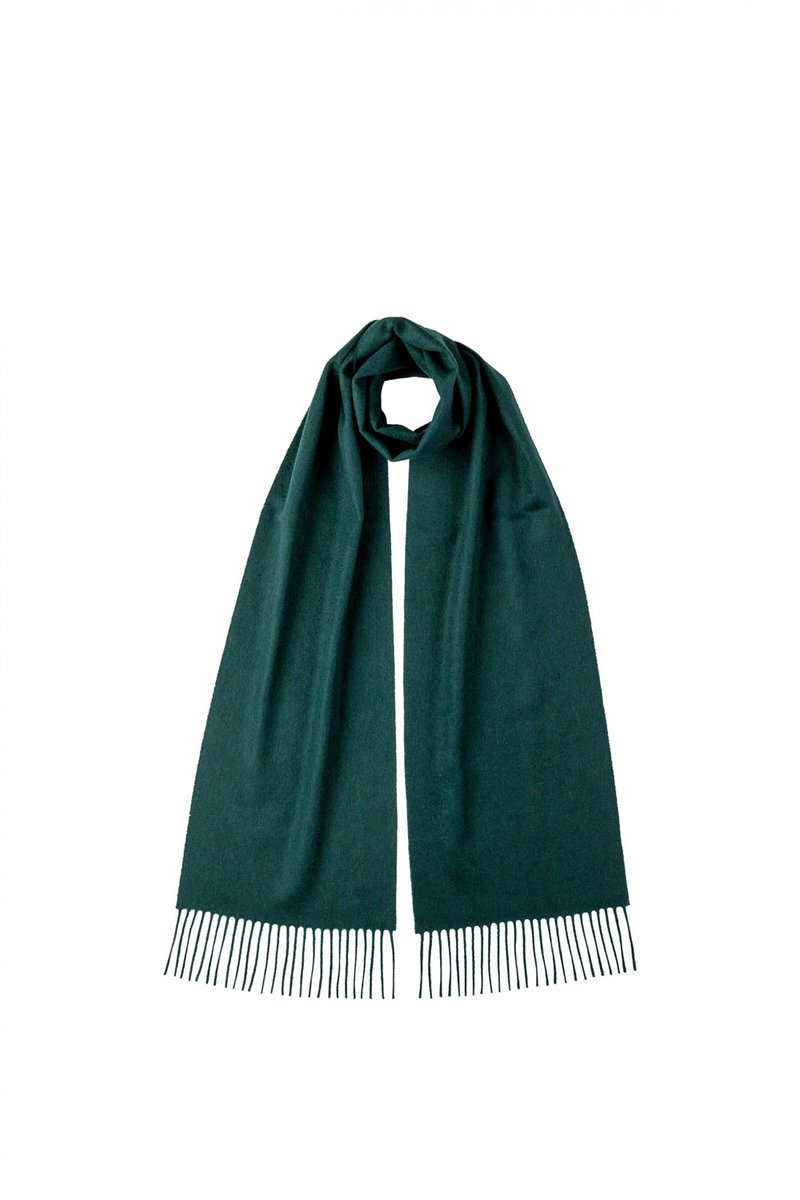 Cashmere Plain Scarf