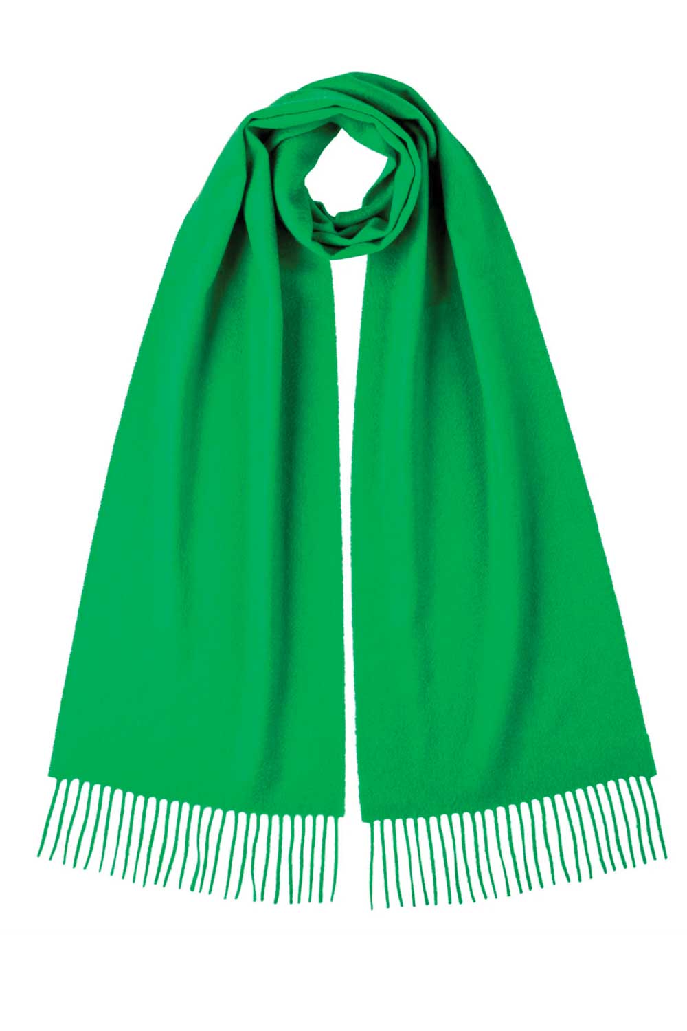 Cashmere Plain Scarf